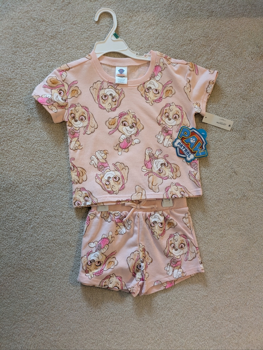Paw Patrol Girls Short Skye 2 Piece Set, 3T